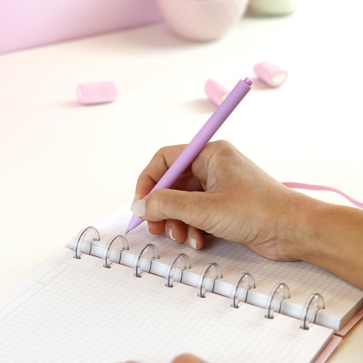 Smartbook A5 con sistema de discos - Capibara Princess