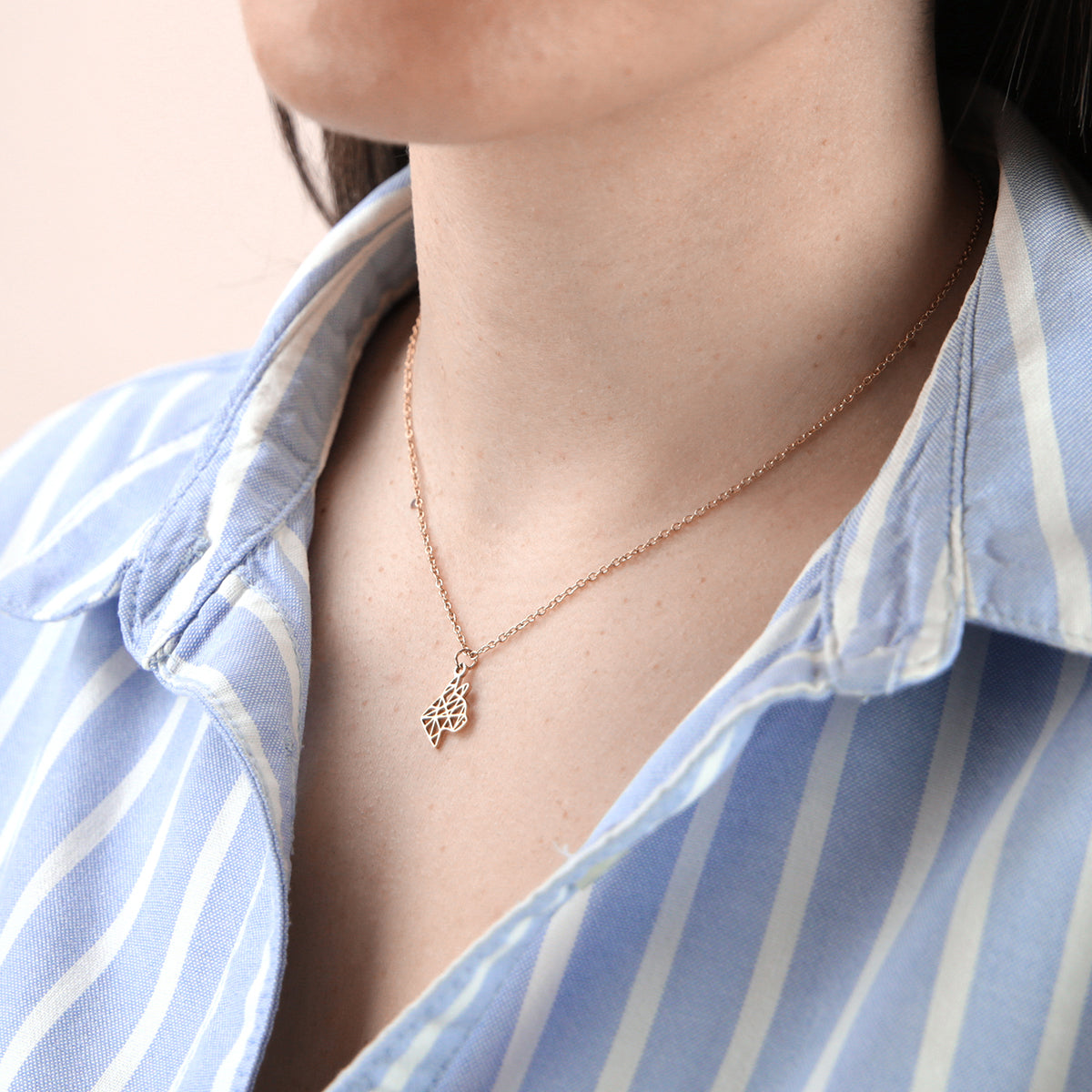 Colgante de acero Animal Spirit - Noa Story