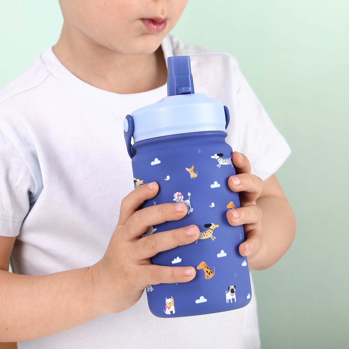 Botella infantil de acero inoxidable - Chic Paws