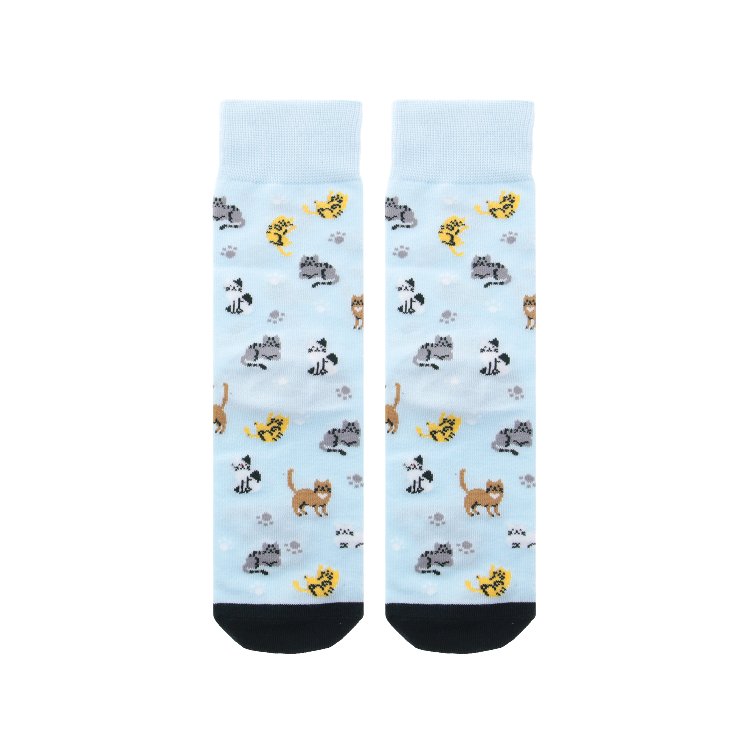 Calcetines – Feline Club | Lovely Story