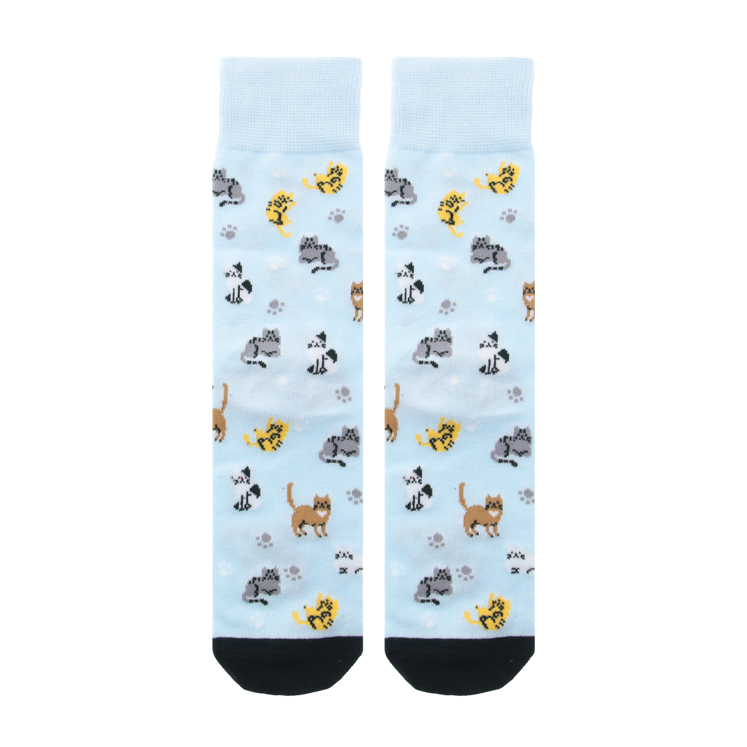 Calcetines – Feline Club | Lovely Story