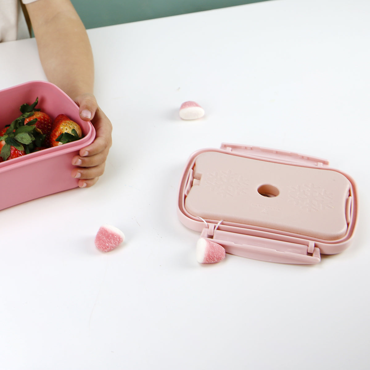 Tupper Hermético - Capibara